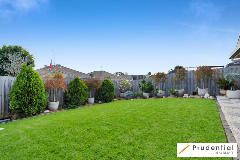 Photo - 29 Longley Avenue, Elderslie NSW 2570 - Image 12