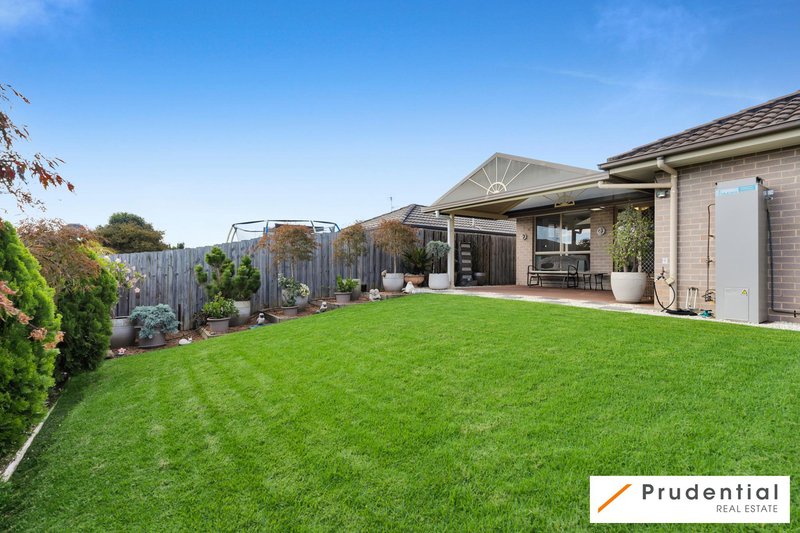 Photo - 29 Longley Avenue, Elderslie NSW 2570 - Image 14