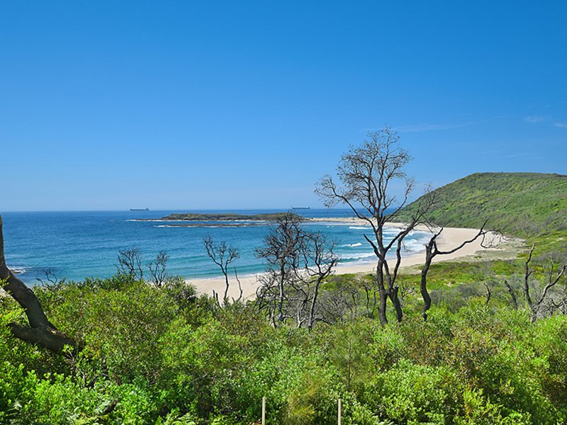 Photo - 29 (lot 2059) Stollard St , Catherine Hill Bay NSW 2281 - Image 4