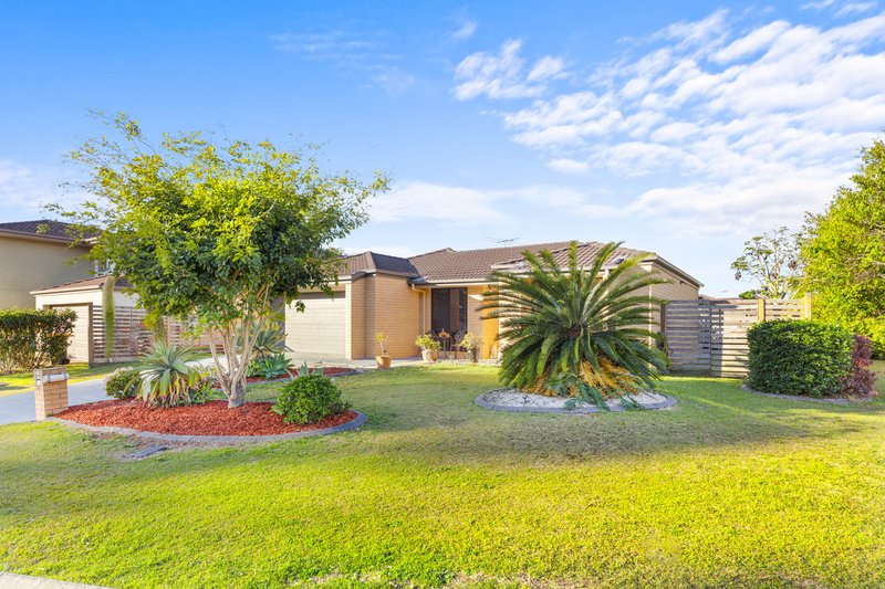 29 Macaranga Crescent, Carseldine QLD 4034