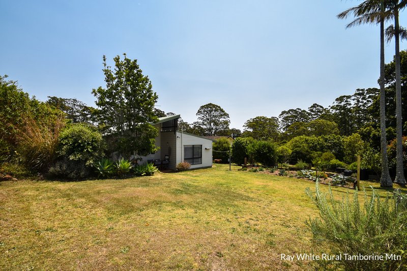 Photo - 29 Manitzky Road, Tamborine Mountain QLD 4272 - Image 14