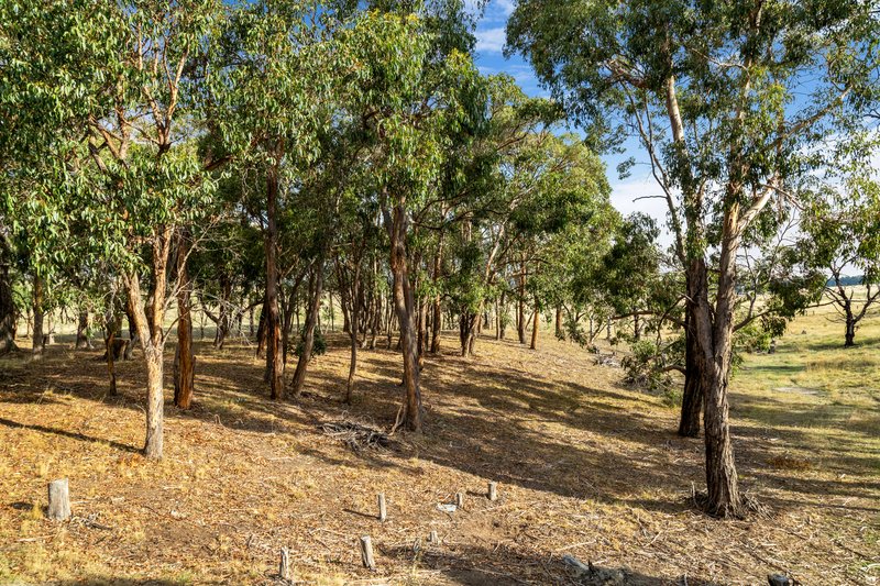Photo - 29 Mcintoshs Lane, Snake Valley VIC 3351 - Image 17