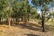 Photo - 29 Mcintoshs Lane, Snake Valley VIC 3351 - Image 17