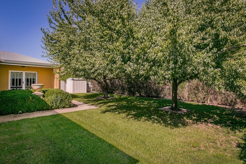 Photo - 29 Memorial Drive, Wodonga VIC 3690 - Image 3