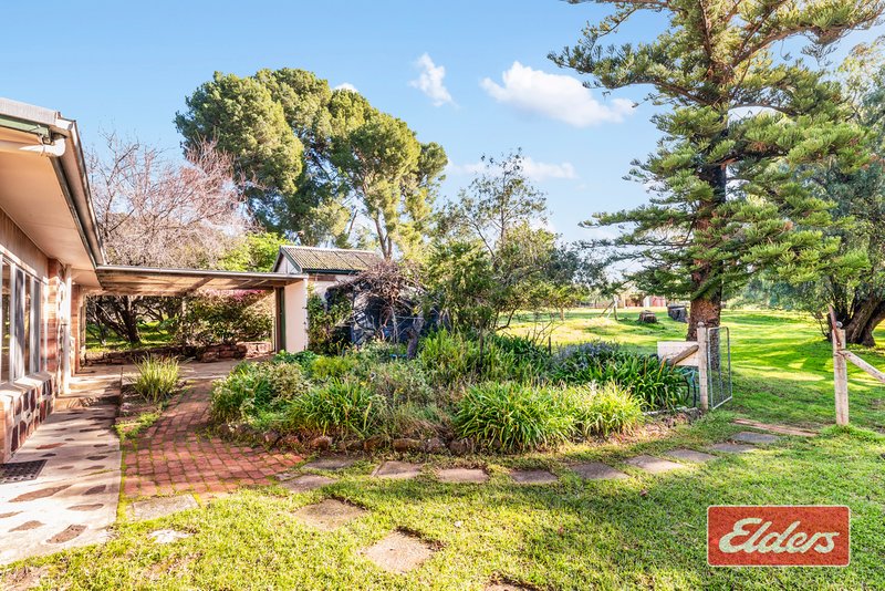 Photo - 29 Miamba Road, Lyndoch SA 5351 - Image 21