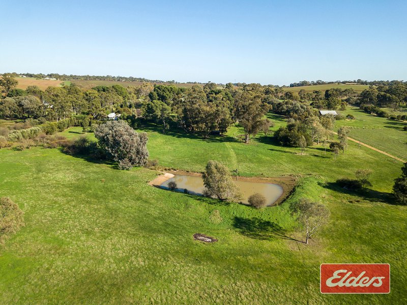 Photo - 29 Miamba Road, Lyndoch SA 5351 - Image 27