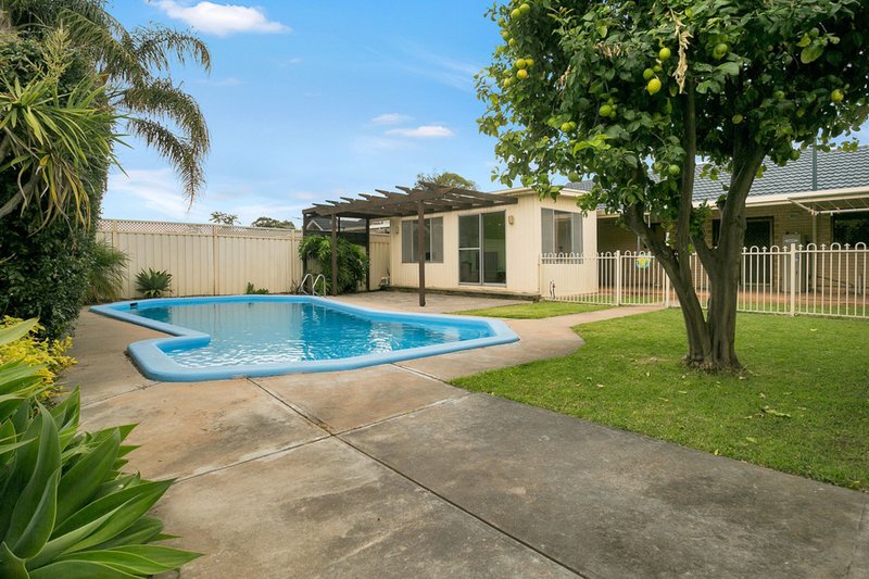 Photo - 29 Mira Street, Gepps Cross SA 5094 - Image 14