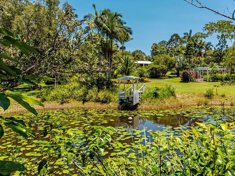 Photo - 29 Mountain View Road, Pinbarren QLD 4568 - Image 11