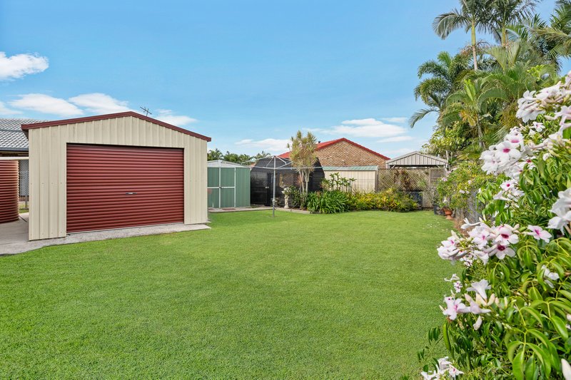 Photo - 29 Nilkerie Street, Carseldine QLD 4034 - Image 16