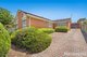 Photo - 29 Norfolk Street, Glen Waverley VIC 3150 - Image 1