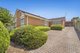 Photo - 29 Norfolk Street, Glen Waverley VIC 3150 - Image 1