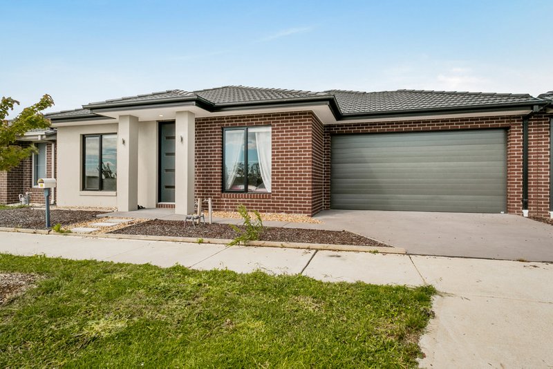 Photo - 29 Orleana Way, Clyde North VIC 3978 - Image 12