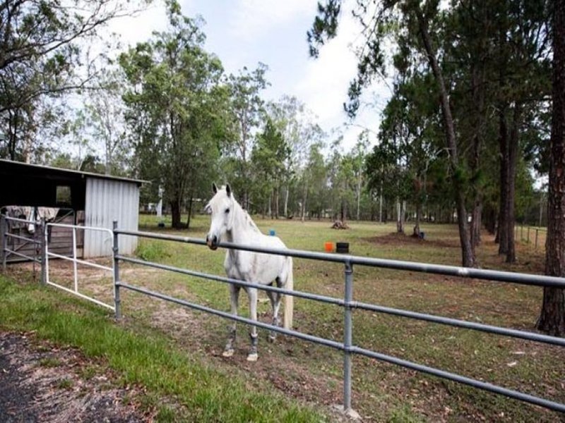 Photo - 29 Oxford Street, Joyner QLD 4500 - Image 18