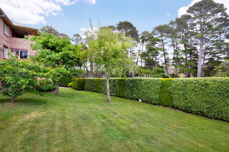 Photo - 2/9 Page Avenue, Wentworth Falls NSW 2782 - Image 10