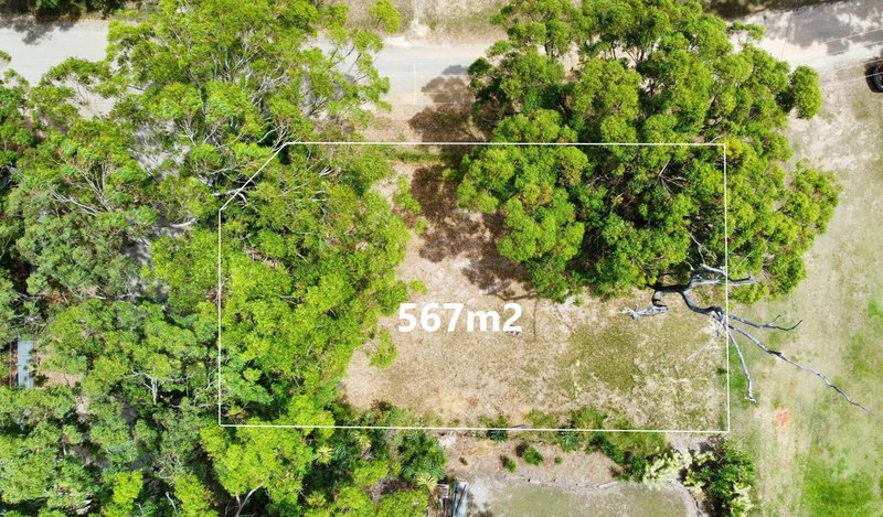 Photo - 29 Parakeet Street, Macleay Island QLD 4184 - Image 4