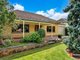 Photo - 29 Park Avenue, Rosslyn Park SA 5072 - Image 2