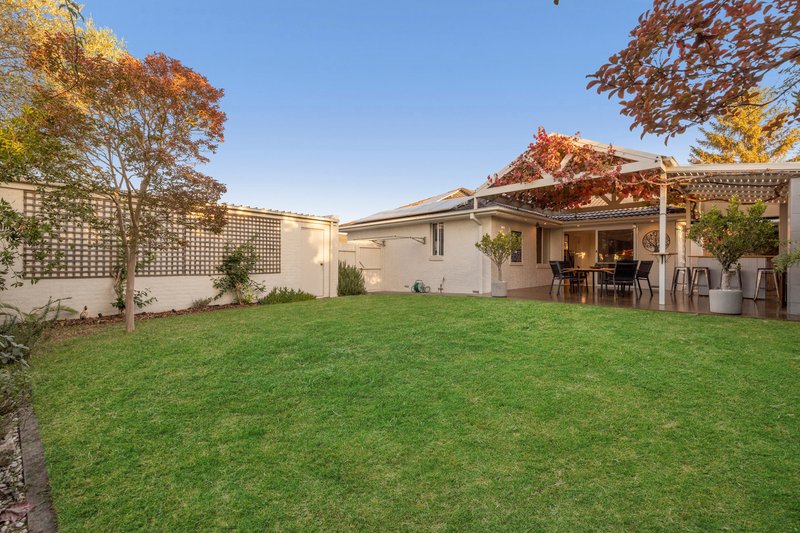 Photo - 29 Pascall Street, Mount Waverley VIC 3149 - Image 5