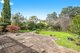 Photo - 29 Paxton Street, Frenchs Forest NSW 2086 - Image 4