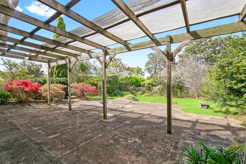 Photo - 29 Paxton Street, Frenchs Forest NSW 2086 - Image 6