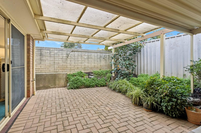 Photo - 29 Pelsaert Avenue, Fairview Park SA 5126 - Image 19