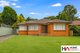 Photo - 29 Pobje Avenue, Birrong NSW 2143 - Image 1