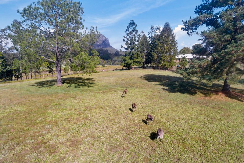 Photo - 29 Pound Road, Pomona QLD 4568 - Image 25