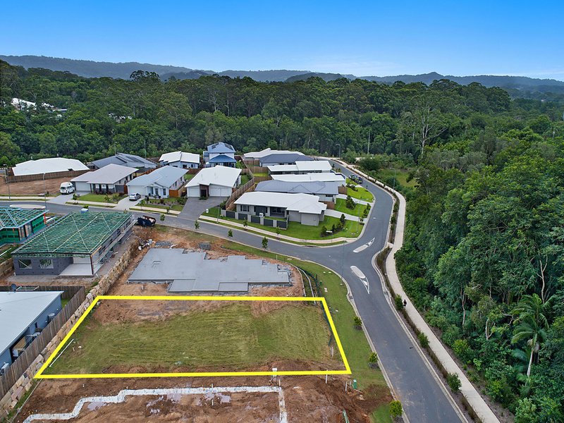 Photo - 29 Pummelo Circuit, Palmwoods QLD 4555 - Image 4