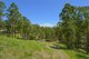 Photo - 29 Rawdon Island Road, Sancrox NSW 2446 - Image 5