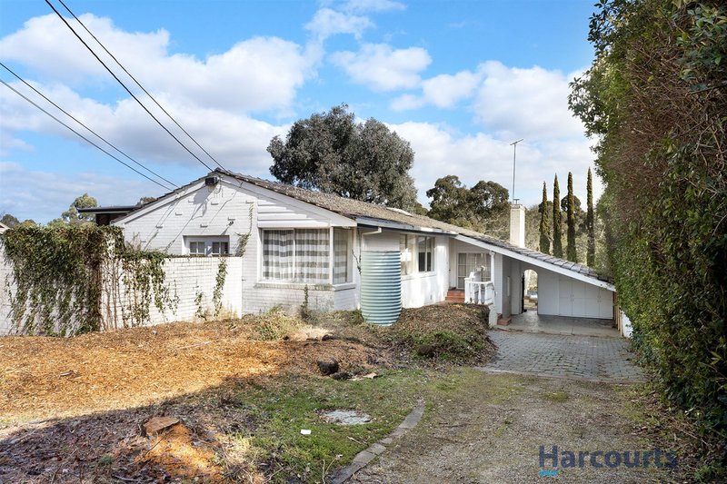 Photo - 29 Regent Street, Mount Waverley VIC 3149 - Image 3