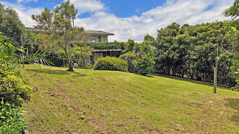 Photo - 29 Ridge Street, Catalina NSW 2536 - Image 17