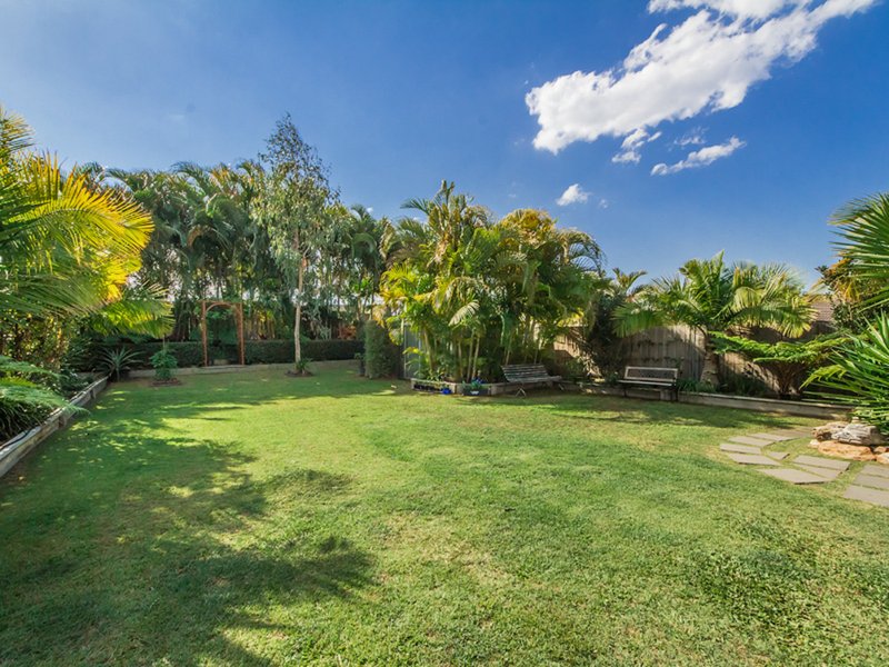 29 River Meadows Drive, Upper Coomera QLD 4209