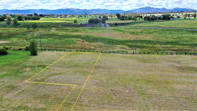 Photo - 29 Robey Avenue, Quirindi NSW 2343 - Image 5