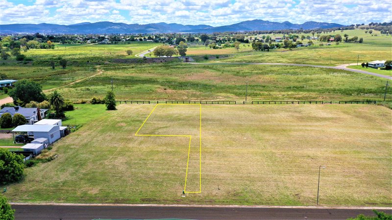 Photo - 29 Robey Avenue, Quirindi NSW 2343 - Image 9