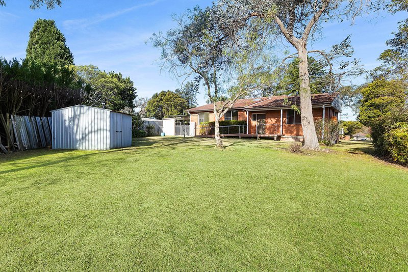 Photo - 29 Saddington Street, Turramurra NSW 2074 - Image 3