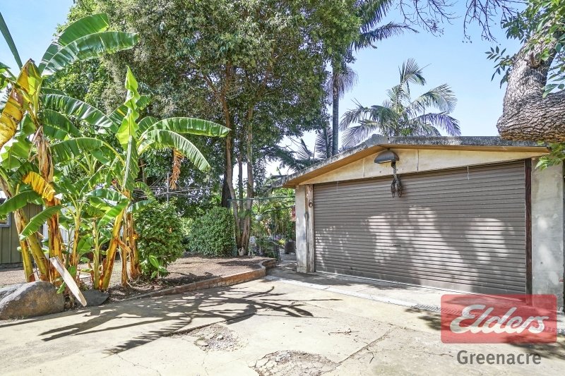 Photo - 29 Terry Street, Greenacre NSW 2190 - Image 6