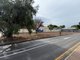Photo - 29 Torr Avenue, Brighton SA 5048 - Image 2