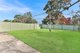 Photo - 29 Vicliffe Avenue, Campsie NSW 2194 - Image 13