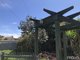 Photo - 29 Walnut Avenue, Mildura VIC 3500 - Image 5