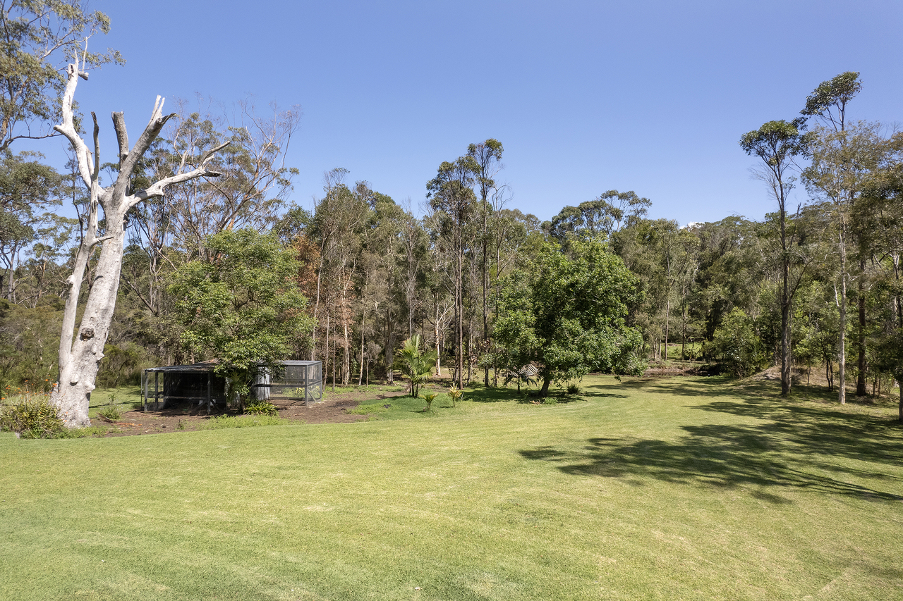 4-bedroom house at 29 Wattlebird Drive, Doonan, QLD 4562, , Queensland