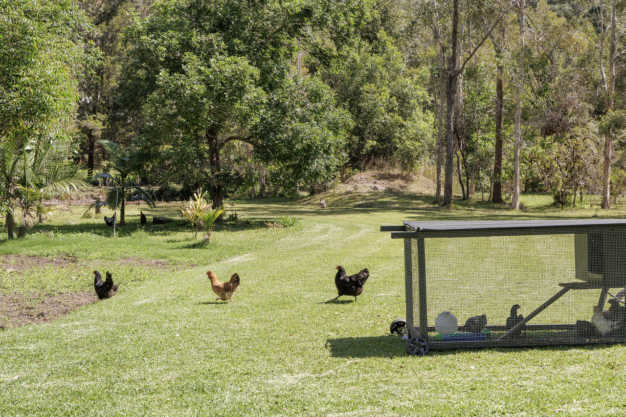 4-bedroom house at 29 Wattlebird Drive, Doonan, QLD 4562, , Queensland