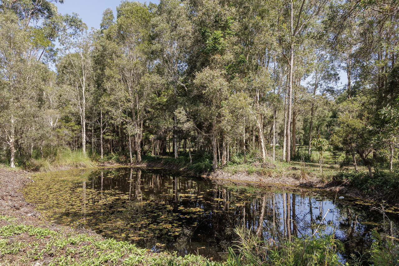 4-bedroom house at 29 Wattlebird Drive, Doonan, QLD 4562, , Queensland
