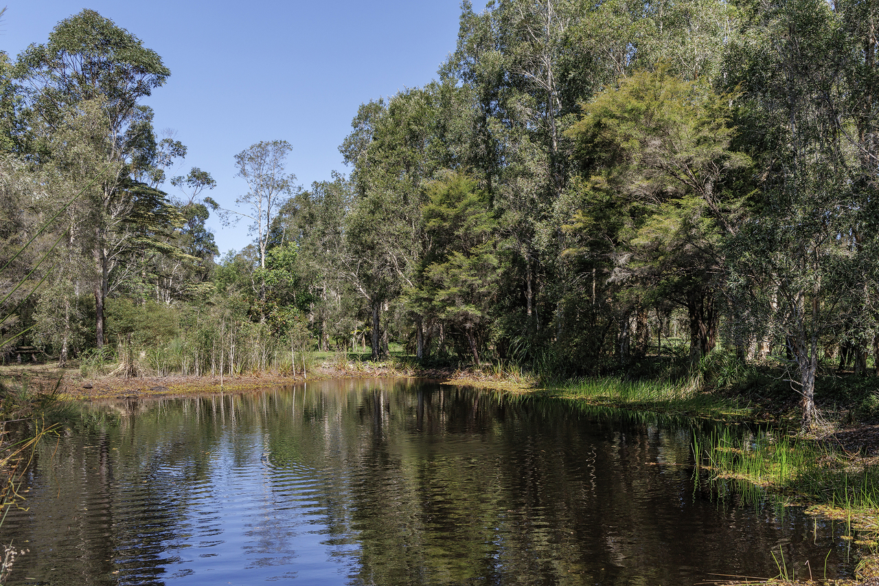4-bedroom house at 29 Wattlebird Drive, Doonan, QLD 4562, , Queensland