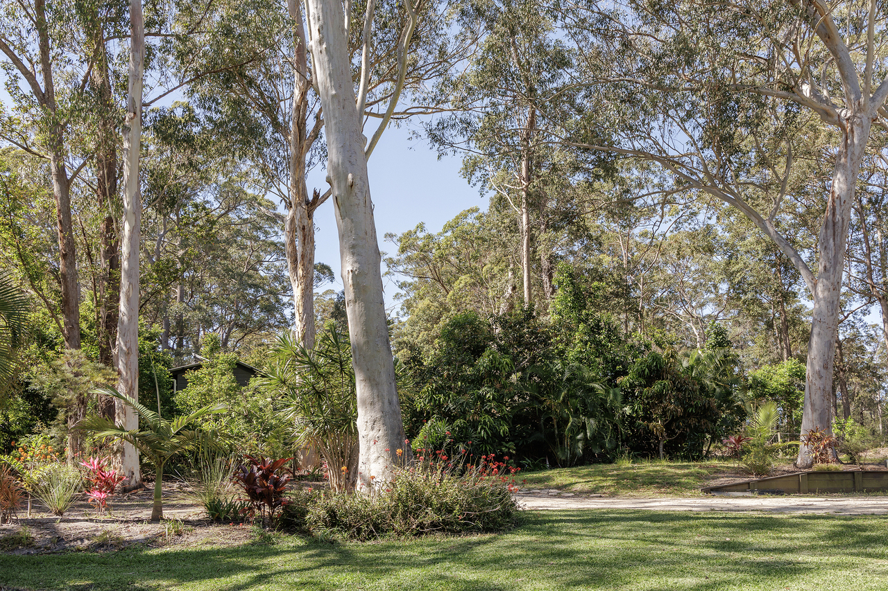 4-bedroom house at 29 Wattlebird Drive, Doonan, QLD 4562, , Queensland