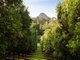 Photo - 29 Woodrows Road, Glass House Mountains QLD 4518 - Image 20