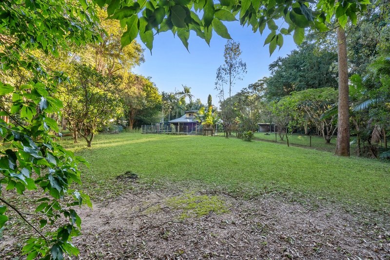 Photo - 29 Woodwood Road, Landsborough QLD 4550 - Image 13