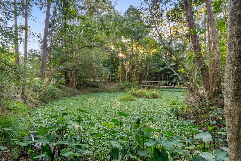 Photo - 29 Woodwood Road, Landsborough QLD 4550 - Image 16