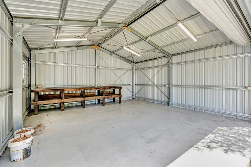 Photo - 29 Ziegenfusz Road, Thornlands QLD 4164 - Image 10