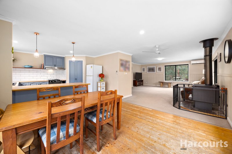 Photo - 290 Becks Bridge Road, Tanjil South VIC 3825 - Image 4