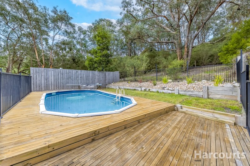 Photo - 290 Becks Bridge Road, Tanjil South VIC 3825 - Image 16