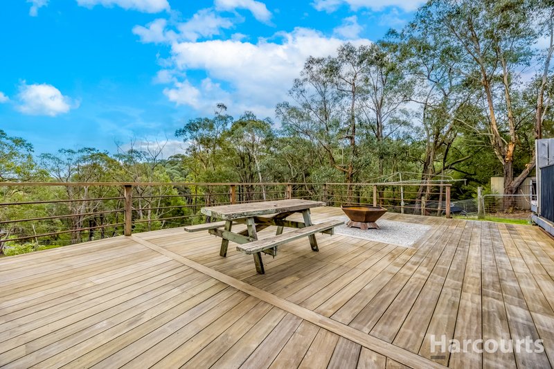 Photo - 290 Becks Bridge Road, Tanjil South VIC 3825 - Image 18